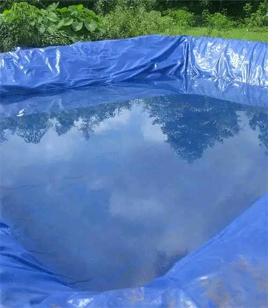 HDPE Tarpaulin supplier and exporter,